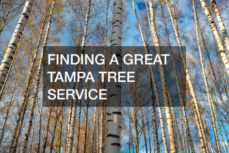 arborist service