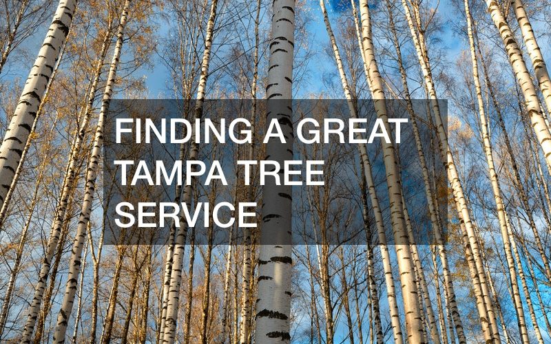 arborist service