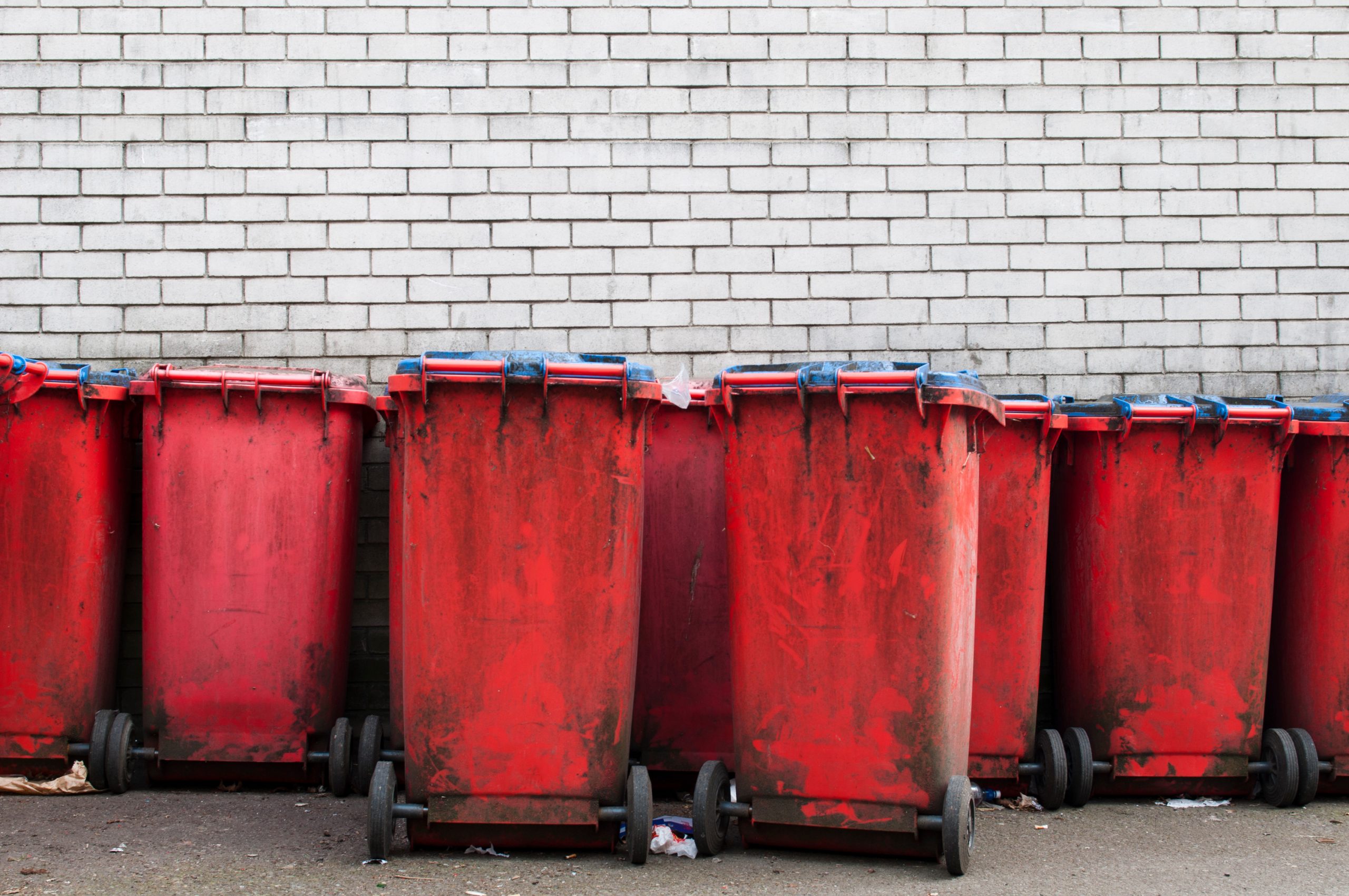 renting a dumpster for spring cleaning