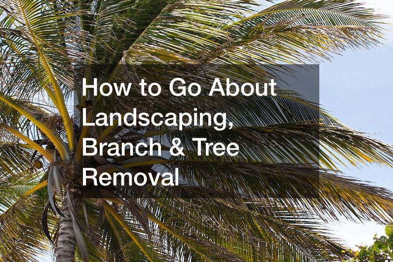 How To Go About Landscaping Branch Tree Removal GLAMOUR HOME   606004 